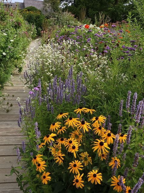 Homegrown National Park, Midwest Native Landscaping, Meadow Pots, Native Plant Garden Design, Plant Placement, Wildflower Border, Pollinator Garden Design, Native Plant Landscape, Flower Garden Art