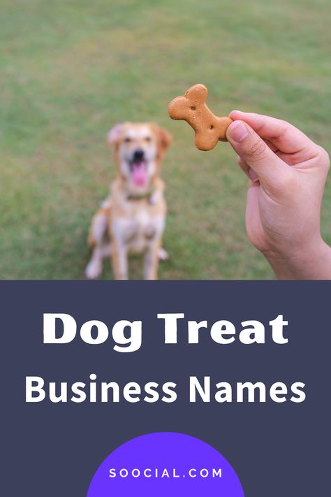 Dog Treat Business Name Ideas, Dog Treat Business Names, Treat Business Names, Dog Treat Business, New Business Names, Treat Business, Business Name Ideas, Dog Supplements, Name Ideas