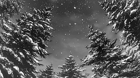 tumblr lsgcvyJDk51qdiq5ko1 500 Snow Falling Gif, Shiloh Dynasty, Storm And Silence, Anime Snow, Snow Gif, I Love Winter, Winter Wonder, Aesthetic Gif, Winter Aesthetic