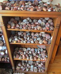 Rock Collection Storage, Rock Identification Pictures, Rock Collection Display, Michigan Rocks, Rock Identification, Rock Collecting, Rock Tumbling, Agate Rocks, Lake Superior Agates