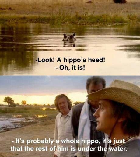 Look! A hippo's head! Top Gear Uk, Funny P, Funny Captions, Top Gear, Bones Funny, Meme Pictures, Make Me Smile, I Laughed, Funny Pictures