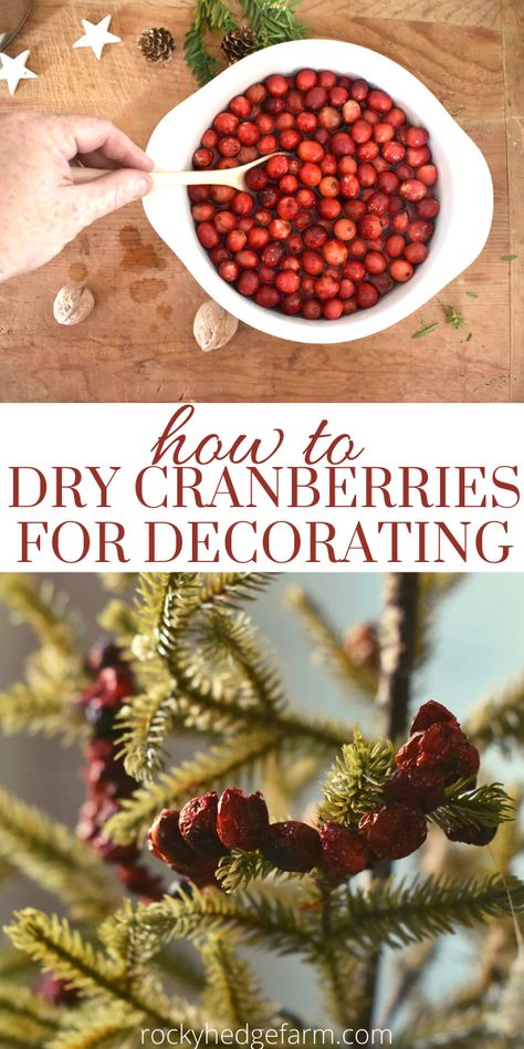 Decorating With Cranberries Christmas, Orange Cranberry Christmas Decor, Dried Fruit For Potpourri, How To Preserve Cranberries, Dehydrated Christmas Gifts, How To Bake Orange Slices For Decoration, Diy Red Berries Christmas Decor, How To Dry Fruit For Potpourri, Dried Cranberries For Garland