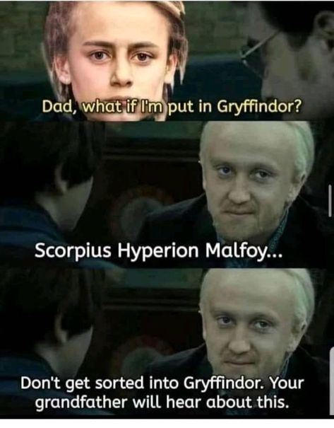 Blaise Harry Potter, Harry Potter Funny Pictures, Harry Potter Quotes Funny, Citate Harry Potter, Harry Potter Parody, Funny Harry Potter Jokes, Potter Head, Potter Quotes, Harry Potter Memes Hilarious