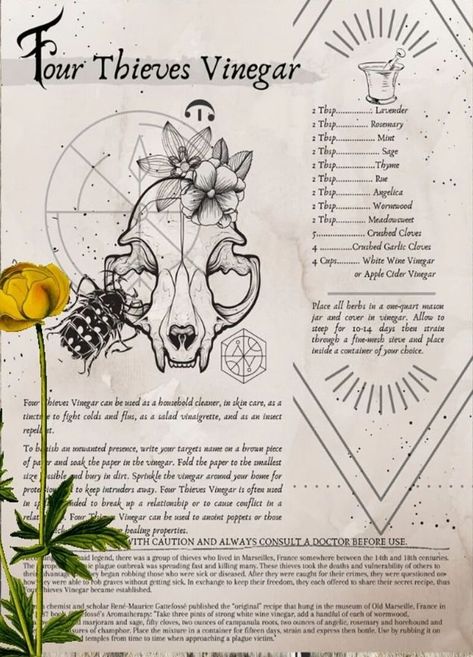 Four Thieves Vinegar- Grimoire Printable, Book of Shadows Printable, Witchcraft Recipes, Wiccan, Witch, Witchcraft, The Recipe Collection Allspice Witchcraft, Eclectic Witch Aesthetic, Book Of Shadows Aesthetic, Book Of Shadows Art, Witchcraft Recipes, Grimoire Aesthetic, Grimoire Printables, Grimoire Art, Diy Grimoire