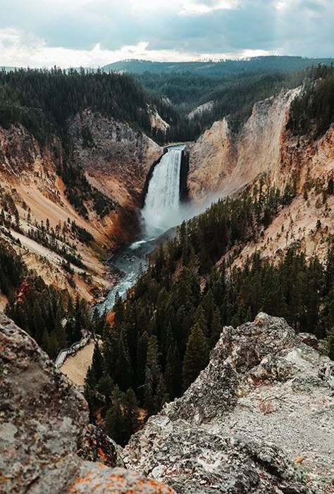 Local's Guide to Yellowstone National Park Montana Yellowstone National Park, Wyoming Yellowstone National Park, Yellowstone National Park Pictures, Yellowstone National Park Photography Animals, National Park Yellowstone, National Parks Pictures, America National Parks, National Parks Road Trip Aesthetic, Yellowstone National Park Aesthetic