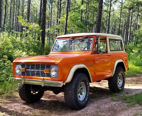 1977 Ford Bronco, Orange Bronco, 1971 Ford Bronco, Ford Bronco 1970's, Bronco Truck, Big Girl Toys, Early Bronco, Classic Bronco, Beetle Car