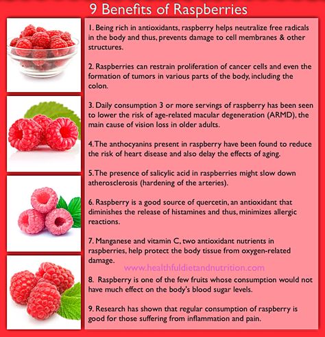 Rasberry Benefits, Raspberries Benefits, Raspberry Benefits, No Sodium Foods, Berry Patch, Fruit Health Benefits, Healthy Balanced Diet, Raspberry Recipes, Losing Fat