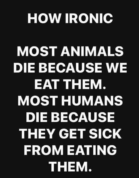 Cruelty Quotes, Animal Cruelty Quotes, Vegan Memes, Animal Activist, Vegan Quotes, Why Vegan, Animal Liberation, Vegan Inspiration, Go Vegan