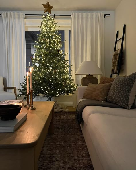 Christmas Living Room Apartment, Modern Cozy Christmas, Apartment Christmas Tree, Christmas Decor Apartment, Megan Hart, Lights For Christmas, Silver Christmas Decorations, Apartment Christmas, Simple Tree