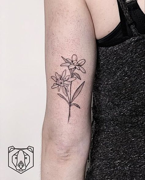 Edelweiss Tattoo Design, Edelweiss Flower Tattoo, Edelweiss Tattoo, Tattoos Simplistic, Lilly Flower Tattoo, Stella Alpina, Whimsical Tattoos, Edelweiss Flower, Back Of Shoulder Tattoo