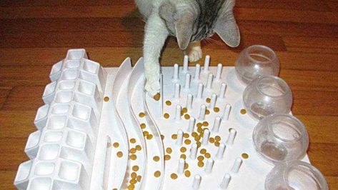 Enriching your cat’s life is as easy as using a food puzzle, say UC Davis researchers Diy Cat Food, Diy Outfits, Diy Cat Toys, Cats Diy Projects, Cat Puzzle, Cat Care Tips, Dry Cat Food, Cat Training, Cat Crafts