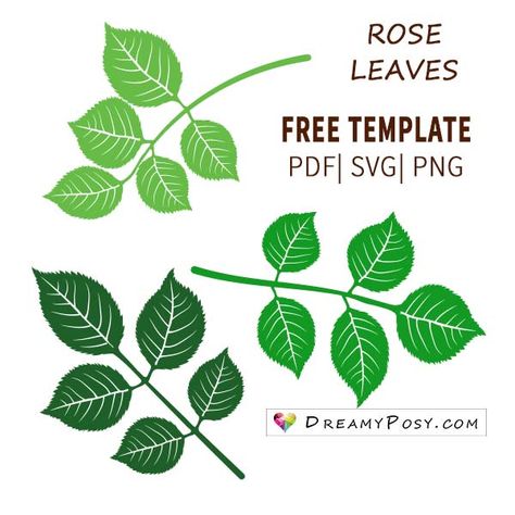 Leaves Svg Leaf Template, Rose Leaf Template, Leaf Svg Free, Branch Template, Leaves Template, Paper Rose Template, Leaf Svg, Giant Roses, Rose Leaf