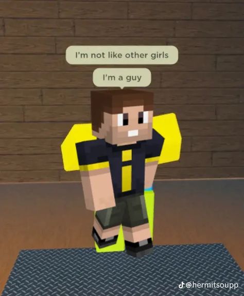 Impulse Hermitcraft, Hermit Craft, Block People, I'm Not Like Other Girls, Minecraft Videos, Minecraft Stuff, Minecraft Memes, Life Series, Double Life