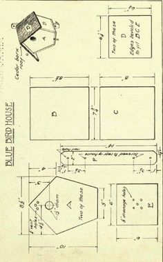 Birdhouse plan for PJ Bluebird House Plans, Barn Birdhouses, Bird House Plans Free, Birdhouse Plans, Homemade Bird Houses, Birdhouse Ideas, Bird Houses Ideas, Bird Houses Ideas Diy, Bluebird House