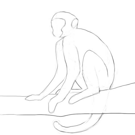 How to draw a monkey - Drawing Factory Draw A Monkey, Monkey Drawing, Monkey Tattoos, Spider Monkey, Scribble Art, Collage Art Projects, Monkey Art, Your Drawing, Afrocentric Art