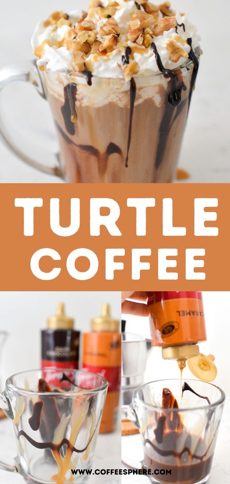 Wet Willies Drinks Recipes, Coffee Recipes For Coffee Shop, Coffee Shop Coffee Recipes, Turtle Mocha Caribou Recipe, Chocolate Iced Coffee, Caribou Turtle Mocha Recipe, Coffee Shop Recipes Drinks, Turtle Coffee Recipe, Torani Coffee Recipes