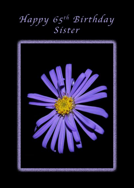 Happy 65th Birthday or a Stunning Sister, Purple Aster card Happy 96th Birthday, Happy 98th Birthday, Happy 79th Birthday, Happy 78th Birthday, Happy 47th Birthday, Happy 66th Birthday, Happy 58th Birthday, Happy 59th Birthday, Happy 51st Birthday