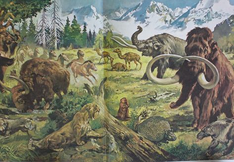 Pleistocene Megafauna, Pleistocene Animals, Cenozoic Era, Mignola Art, Prehistoric Period, Prehistoric Mammals, All Dinosaurs, Cartoon Crazy, La Brea