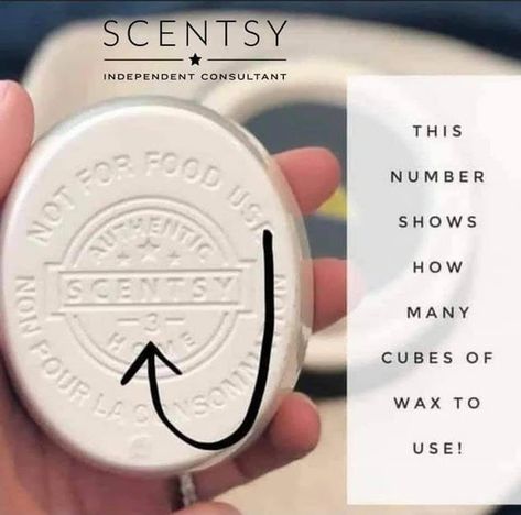 Did you know you can check the bottom of your Scents dish for how many cubes it can hold? This is the max number of cubes that dish can hold. But I always recommend starting with 1 cube and adding more if needed for stronger scent. #number on the dish #scentsy cubes #scentsy tips Scentsy Wax Warmer, Scentsy Marketing, Scentsy Candles, Scentsy Consultant Ideas, Scented Wax Warmer, Scentsy Business, Scentsy Wax Bars, Scentsy Party, Scentsy Independent Consultant