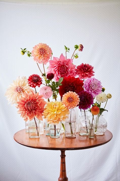 Wedding Centerpiece Vases, Protea Wedding Table Decor, Simple Wedding Flowers Centerpieces, Dahlia Wedding Centerpieces, Bud Vase Tablescape, Dahlia Centerpiece Wedding, Wedding Tablescapes Round, Flowers With Eucalyptus, Cocktail Table Decor