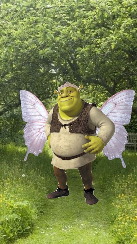 Shrek Collage, Aesthetic Shrek, She Was A Fairy, Shrek Funny, Pretty Fairy, Spongebob Pics, Fairy Wallpaper, Fairy Aesthetic