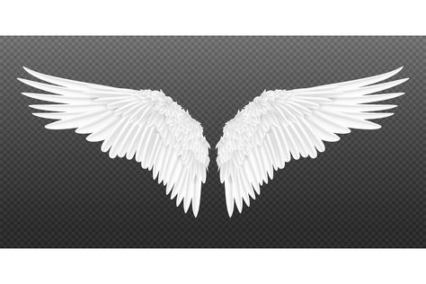 Realistic Wings, Angel Wings Background, Dark Angel Wings, Angel Wings Drawing, Angel Wings Illustration, Angel Wings Wall Art, Illustration Bird, Wings Png, Angel Wings Art