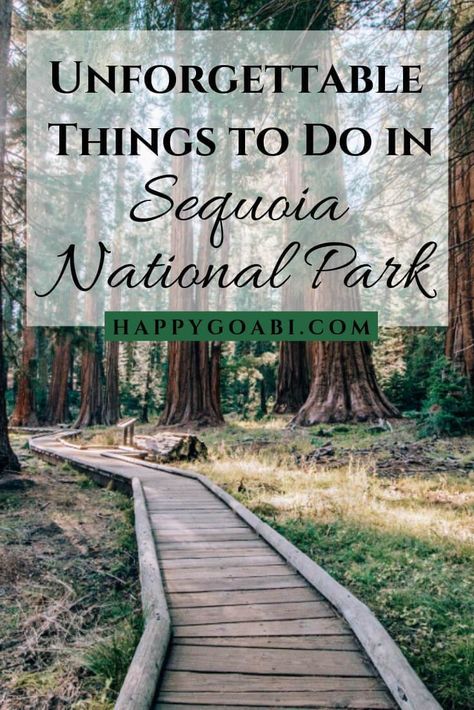 7 Unforgettable Things to do in Sequoia National Park Sequoia National Park Map, Yosemite Sequoia, Sequoia National Park Camping, Sequoia National Park California, Yosemite Trip, National Park Map, National Parks America, National Park Camping, Kings Canyon National Park