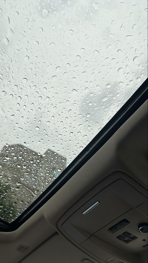 Sunroof Snap, Prank Photos, Disney Cars Wallpaper, Basket Vintage, Nature Instagram, Dark Nature Aesthetic, Cool Mirrors, Selfie Ideas Instagram, Cool Instagram Pictures