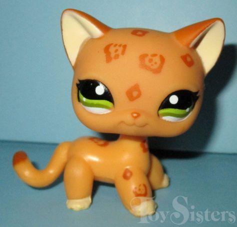 Lps Shorthair Cat, Cat Checklist, Lps Shorthair, Cute Lps, Lps Cats, Lps Popular, Littlest Pet Shops, Lps Toys, Lps Pets