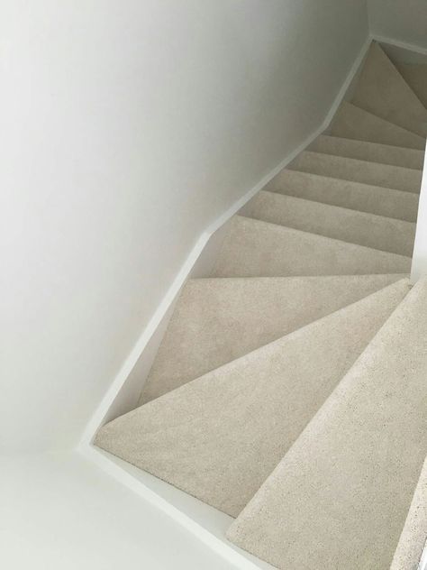 Light cream carpet on stairs Stair Hallway Decor, Carpet On Stairs, Grey Stair Carpet, Light Stairs, Patterned Stair Carpet, Stairs Light, Carpeted Stairs, Stairs Carpet, Carpet Staircase