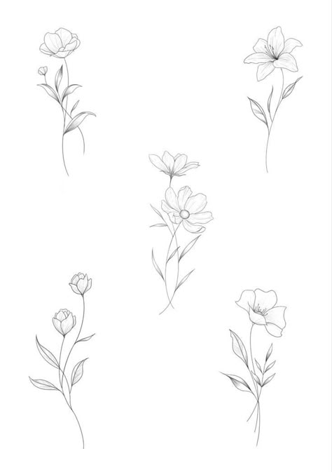 Fine Line Floral Tattoos For Women, Dainty Tattoos Floral, Fine Line Flower Tattoo Inner Arm, Lilly Tattoo Minimalist, Dainty Lilly Tattoo, Delicate Daisy Tattoo Simple, Single Flower Tattoos For Women, Floral Tattoo Minimalist, Fine Line Flower Tattoo Ideas