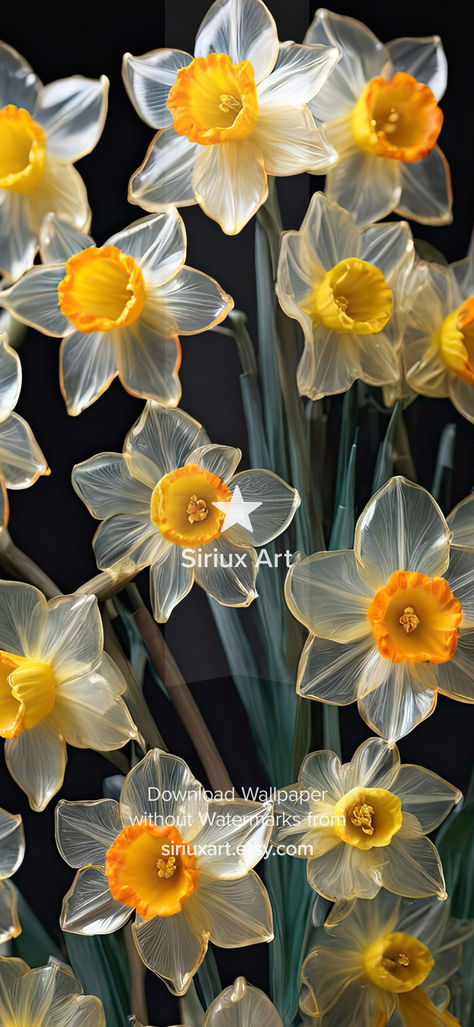 Daffodil Flowers Phone Wallpaper Beautiful Blooming Floral Background | VISIT NOW Flowers Phone Wallpaper, Background Stylish, Daffodil Flowers, Yellow Petals, Wallpaper Beautiful, Yellow Daffodils, Daffodil Flower, Floral Iphone, Flower Phone Wallpaper