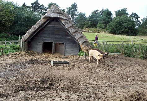 Medieval Farming, Medieval Farm, Medieval Buildings, Viking Decor, Pig Pen, Farm Land, Medieval Architecture, Animal Pen, Underwater Life