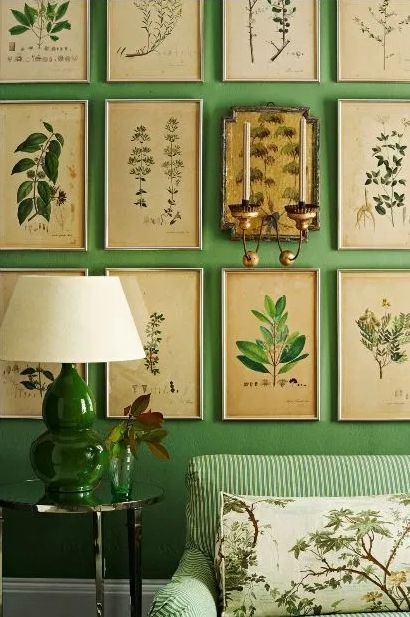 Botanical Bedroom, Green Living Room Decor, Framed Botanical Prints, Cottage Shabby Chic, Green Walls, Trendy Living Rooms, Framed Botanicals, Coron, Living Room Green