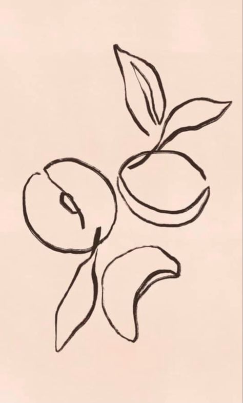 Ink Wash Illustration, Tattoo Combination Ideas, Nectarine Tattoo, Peaches Illustration, Matisse Tattoo, Peach Illustration, Plant Drawing, Sketchbook Art Inspiration, Minimalist Art