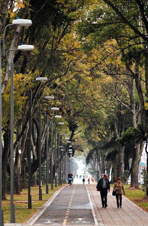 Colombian Landscape, Streetscape Design, Public Transit, Colombia Travel, Bike Path, Urban Lifestyle, Urban Area, Urban Planning, Elba