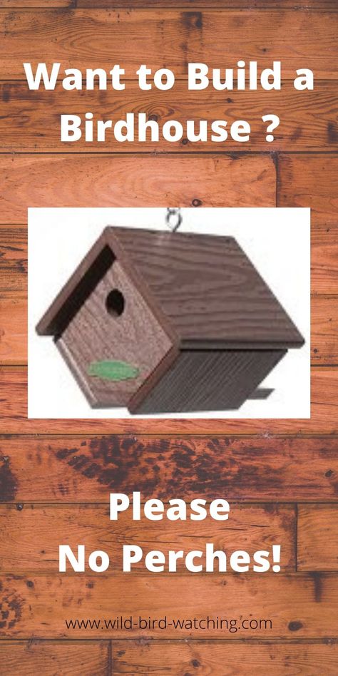 One Board Birdhouse Plans, Wren House Plans How To Build, Wren House Plans, Bird Houses Diy Easy, Diy Birdhouse Easy, Building Bird Houses, Birdhouse Plans, Bird House Plans Free, Wren House