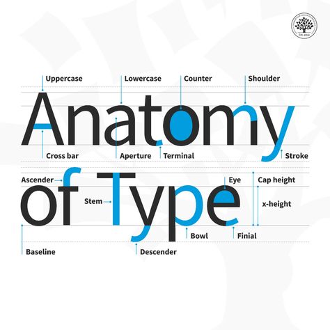 What Is Type Anatomy? | Interaction Design Foundation (IxDF) Anatomy Of Type, Anatomy Of Typography, Type Anatomy, Free Cursive Fonts, Free Script Fonts, Type Posters, Creative Fonts, Design System, Interactive Design