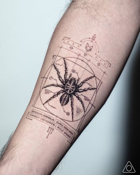 Line Geometric Tattoo, Fine Line Geometric Tattoo, Divine Masculine Energy, Geometric Animal Tattoo, Anatomy Tattoo, Wolf Spider, Geometric Wolf, Web Tattoo, Bug Tattoo