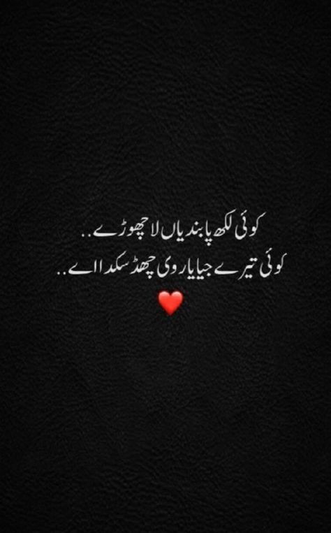 Punjabi Shayari In Urdu, Saraiki Poetry 2 Lines, Passion Poems, Ishq Poetry, Punjabi Aesthetic, Urdu Quotes In English, Parveen Shakir, Nice Poetry, Punjabi Love Quotes