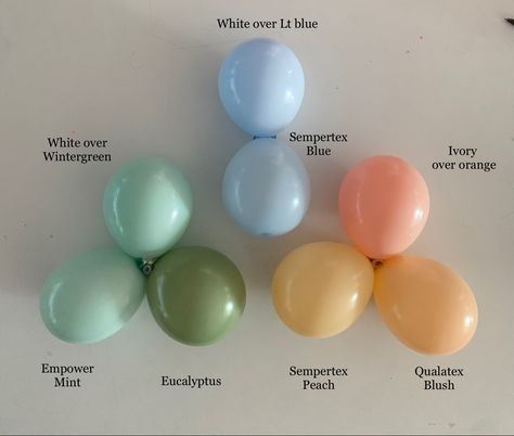 Balloon Color Combination, Balloon Color Combinations Birthday, Balloon Color Combinations, Colour Samples, Bear Baby Shower Theme, Balloon Arches, Colour Theory, Peach Blush, Baby Bear Baby Shower