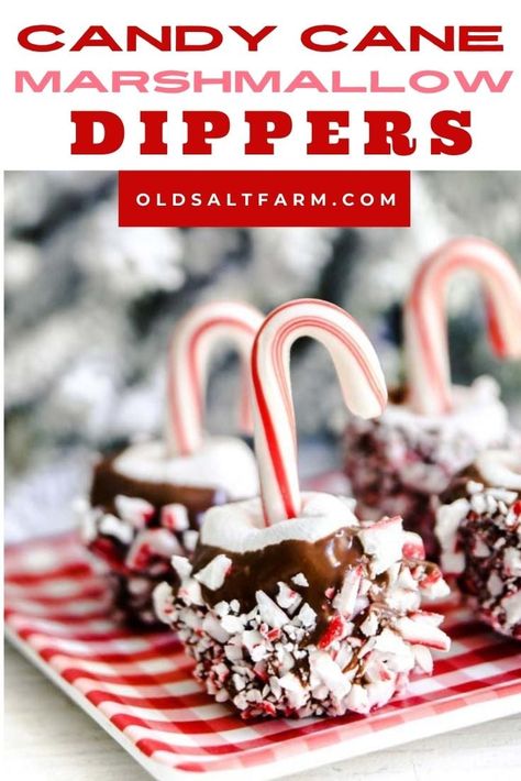 Marshmallow Dipped In Chocolate, Dipped Candy, Dipped Marshmallows, Chocolate Dipped Marshmallows, Marshmallow Dip, Chocolate Covered Marshmallows, Gluten Free Christmas, Marshmallow Pops, Chocolate Marshmallows