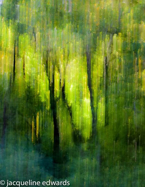 Morning in the Forest. Abstract Woods Painting, Forest Painting Background, Forest Abstract Art, Abstract Art Forest, Abstract Forest Painting Acrylics, Forest Green Painting, Abstract Forest Art, Green Forest Painting, Abstract Forest Painting