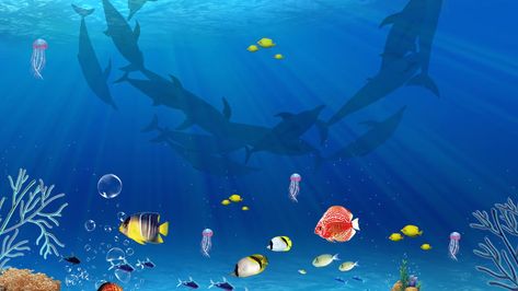 Fresh Underwater World Advertising Background Underwater Cartoon, Bawah Air, Ocean Backgrounds, Birthday Banner Design, Ocean Park, Flyer Poster, Blue Whale, Advertising Poster, Winter Travel