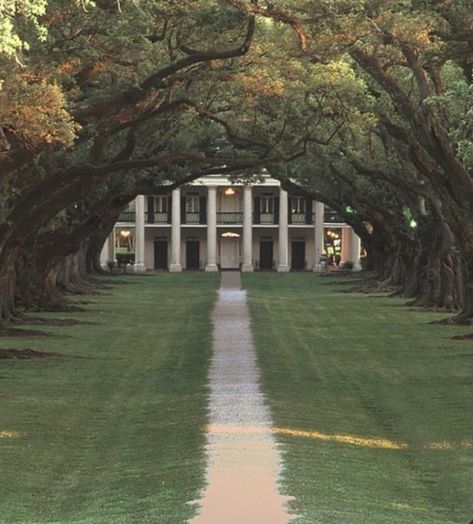 Backyard Landscaping Pool, Southern Aesthetic, Old Money House, Southern Mansions, Landscaping Pool, Southern Plantations, Magic Places, Dream Mansion, Southern Homes