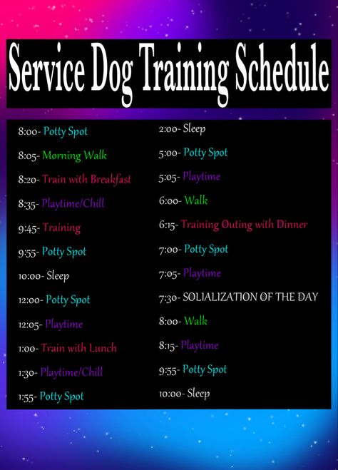 Service Dog Training Schedule, Service Dog Training Commands, Psychiatric Service Dog Training, Service Dog Training Checklist, Service Dog Gear For School, Dog Training Schedule, Valley Bulldog, Dog Training Hand Signals, Service Dogs Breeds