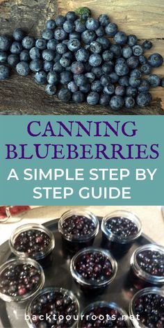 Canning Fresh Fruit, How To Can Blueberries, Canning Frozen Blueberries, Canning Berries, Canning Blueberries, Canning Blackberries, Freezing Recipes, Preserving Recipes, Pressure Canning Recipes