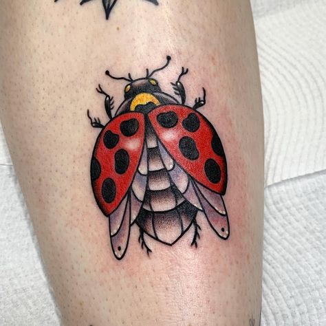 Ladybird Tattoo, Ladybug Tattoo, Tato Tradisional, Luck Tattoo, Tattoo For Boyfriend, Cute Finger Tattoos, Lady Bug Tattoo, Vegan Tattoo, Bug Tattoo