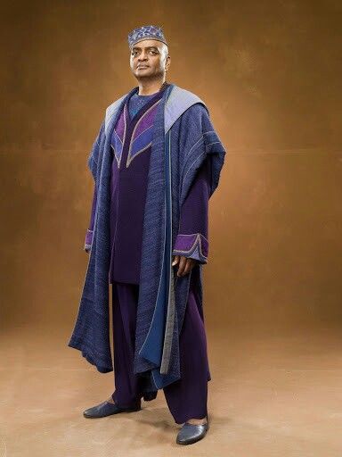 Kingsley Shacklebolt Wizarding Robes, Kingsley Shacklebolt, Wizarding Fashion, Harry Potter Costumes, Harry Potter Castle, Harry Potter Clothes, Harry Potter Wiki, Dumbledore's Army, Harry Potter Miniatures