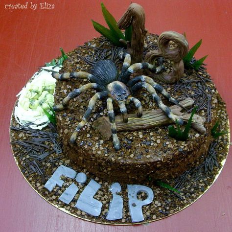 Tarantula Birthday Party, Tarantula Cake, Spider Cakes, Bug Food, Snake Cake, Snake Cakes, Spider Cake, Bug Cake, Garden Cakes